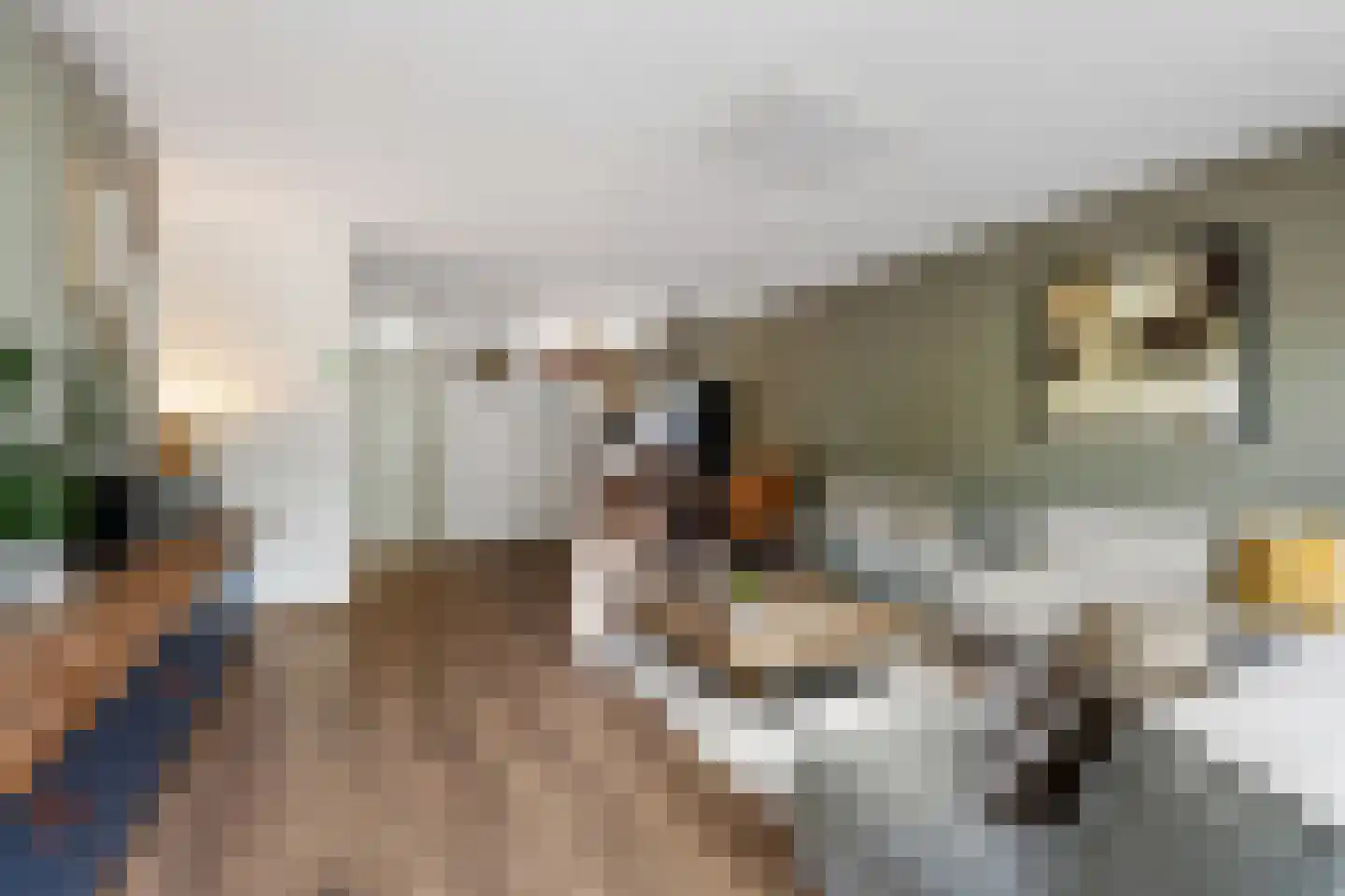 Snippendaal 13 Nieuwerkerk aan den IJssel thumbnail 8