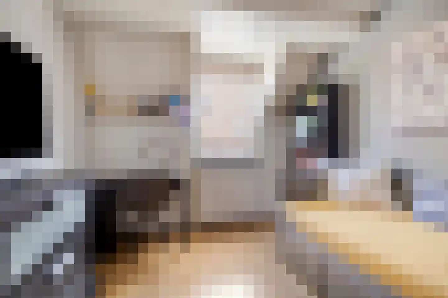 Snippendreef 30 Stolwijk thumbnail 20