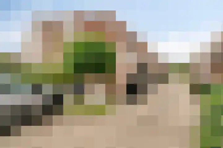Snippendreef 31 Stolwijk thumbnail 17