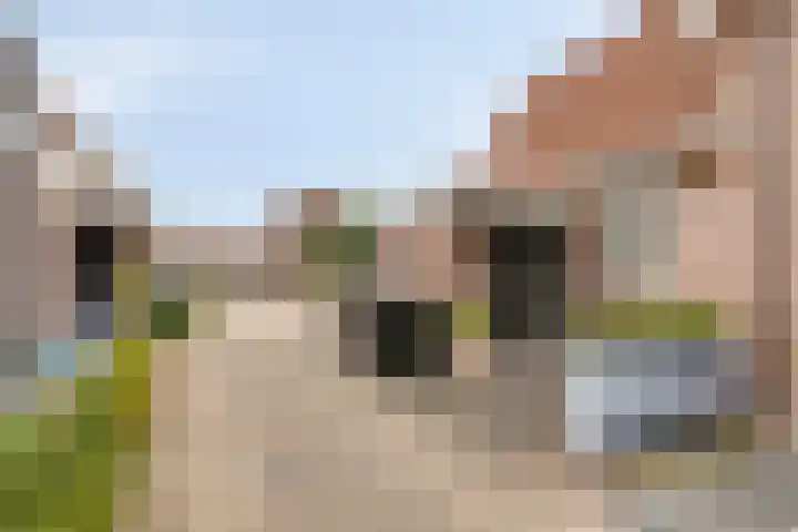 Snippendreef 31 Stolwijk thumbnail 19