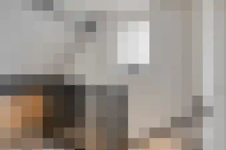 Snippendreef 31 Stolwijk thumbnail 20