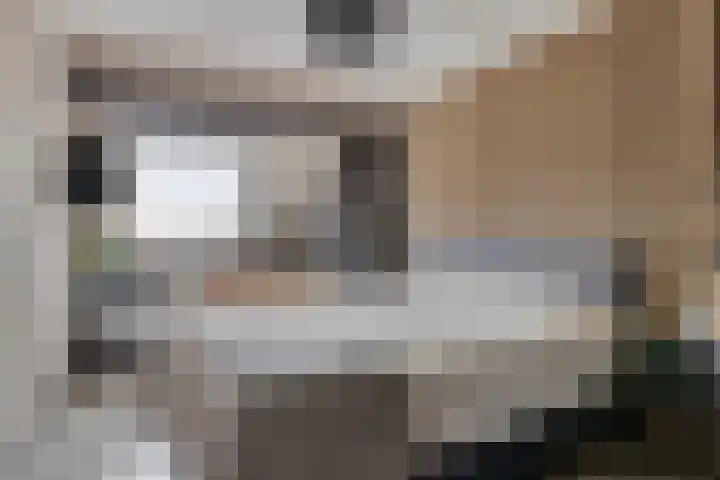 Snippendreef 31 Stolwijk thumbnail 21
