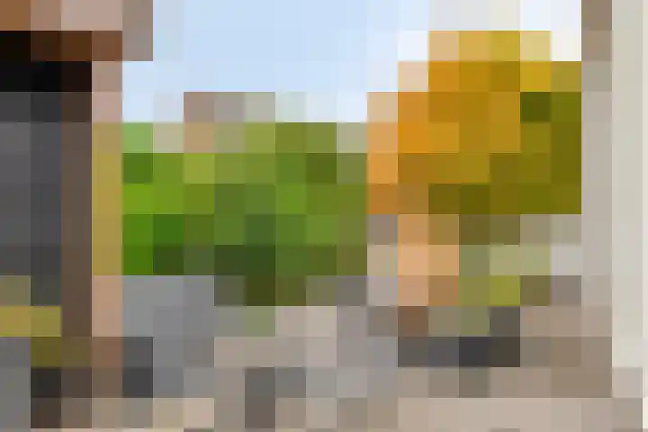 Snippendreef 31 Stolwijk thumbnail 30