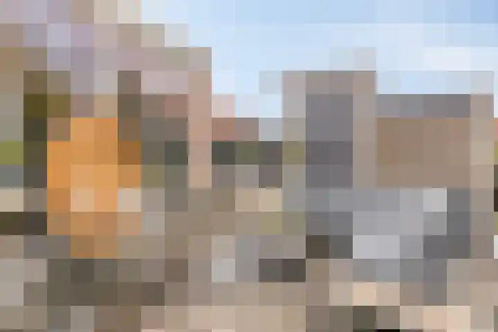 Snippendreef 31 Stolwijk thumbnail 31
