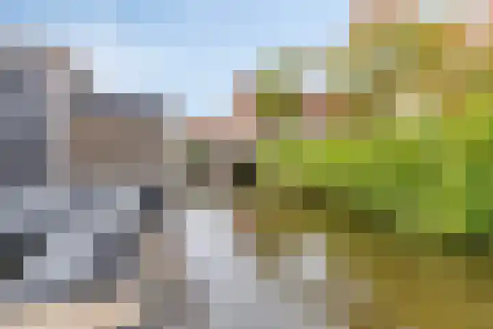 Snippendreef 31 Stolwijk thumbnail 32