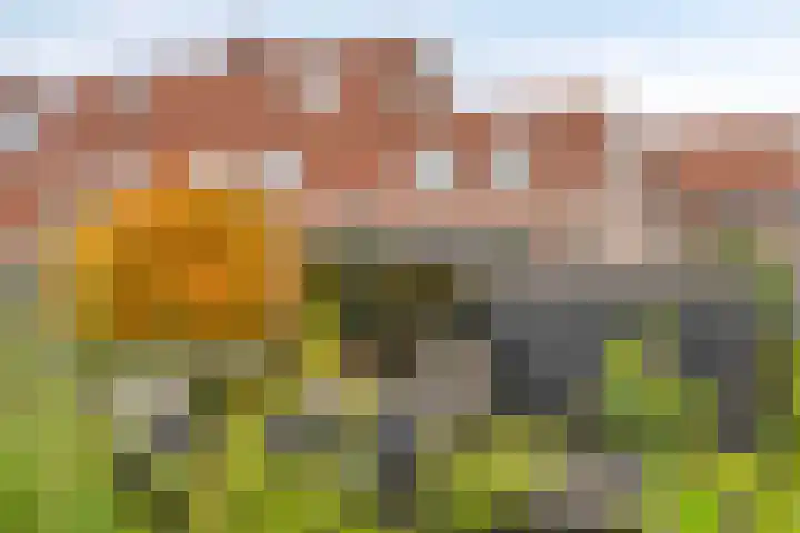 Snippendreef 31 Stolwijk thumbnail 34