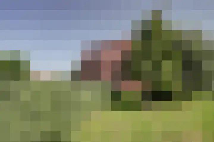 Snippengat 42 Gorinchem thumbnail 30