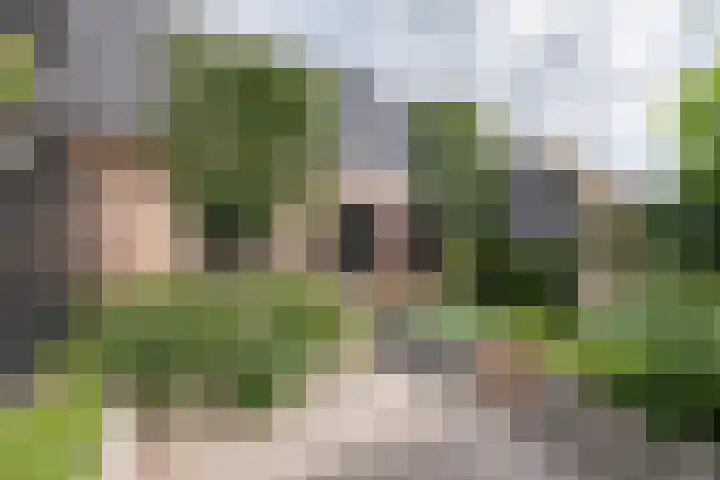 Snippengat 42 Gorinchem thumbnail 34