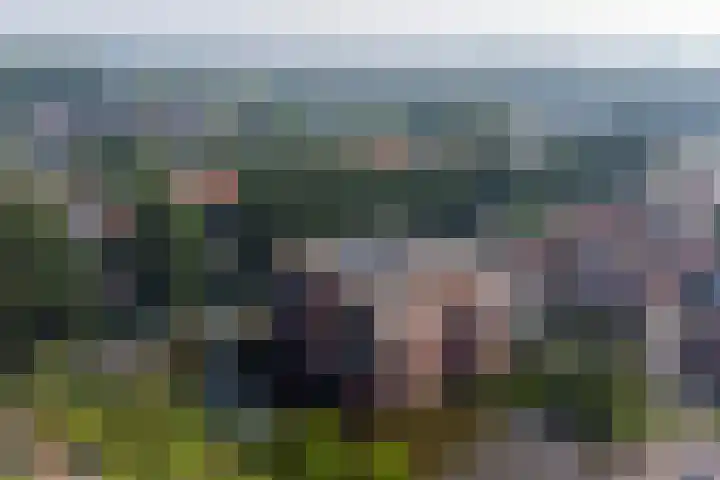 Snippengat 42 Gorinchem thumbnail 35