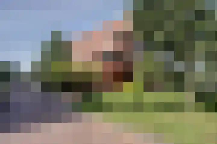 Snippengat 42 Gorinchem thumbnail 4