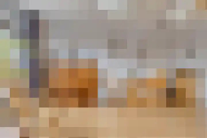 Snippenhof 22 Silvolde thumbnail 12