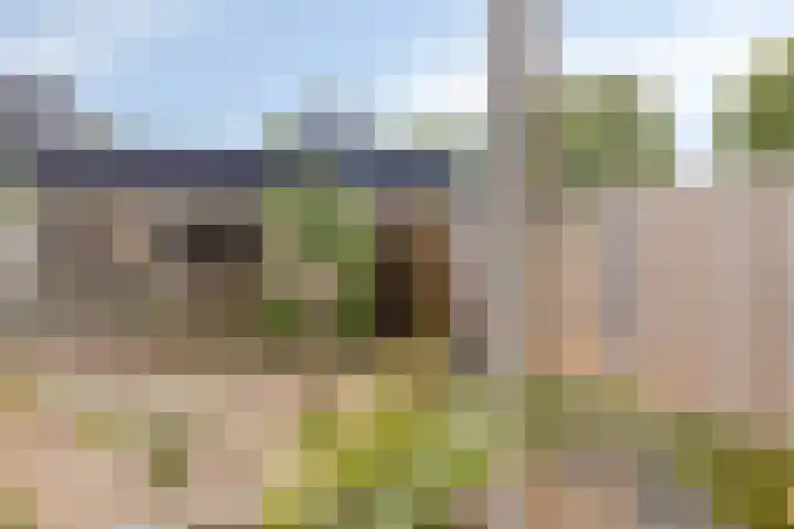 Snippenhof 22 Silvolde thumbnail 13
