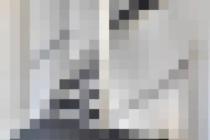 Snippenhof 22 Silvolde thumbnail 20