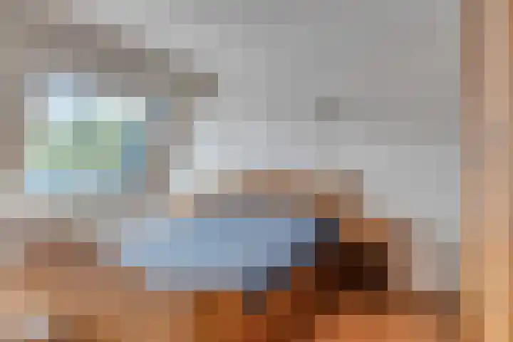 Snippenhof 22 Silvolde thumbnail 21