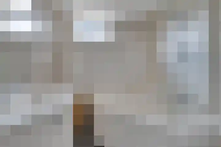 Snippenhof 22 Silvolde thumbnail 23