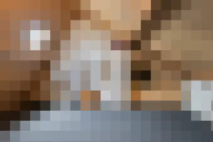 Snippenhof 22 Silvolde thumbnail 29
