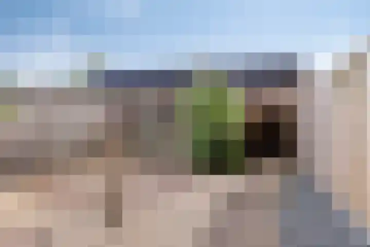 Snippenhof 22 Silvolde thumbnail 31