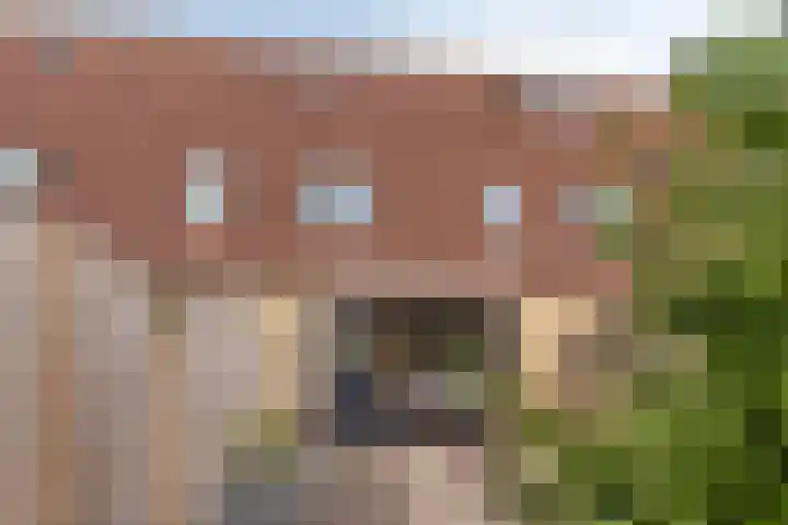 Snippenhof 22 Silvolde thumbnail 33