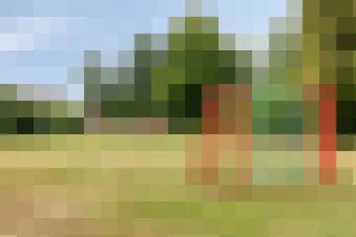 Snippenhof 22 Silvolde thumbnail 34