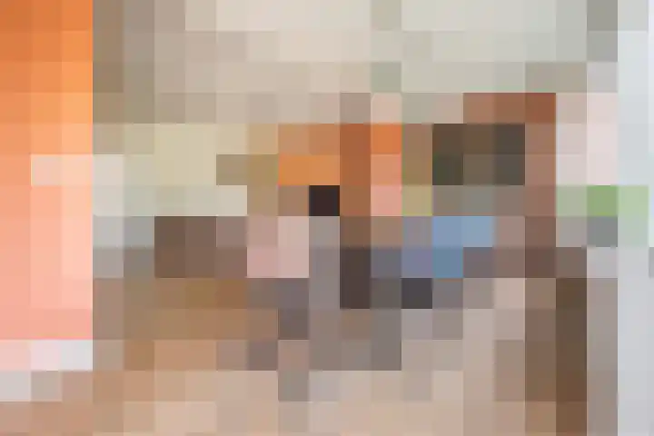 Snippenhof 28 Silvolde thumbnail 13