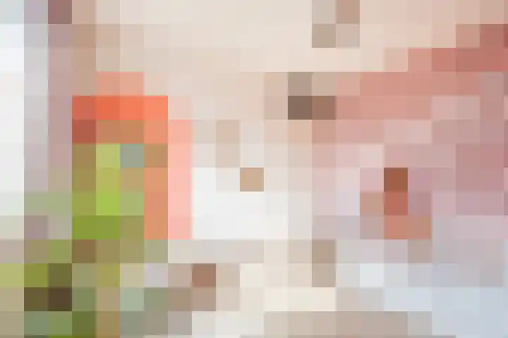 Snippenhof 28 Silvolde thumbnail 24