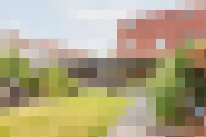 Snippenhof 28 Silvolde thumbnail 30