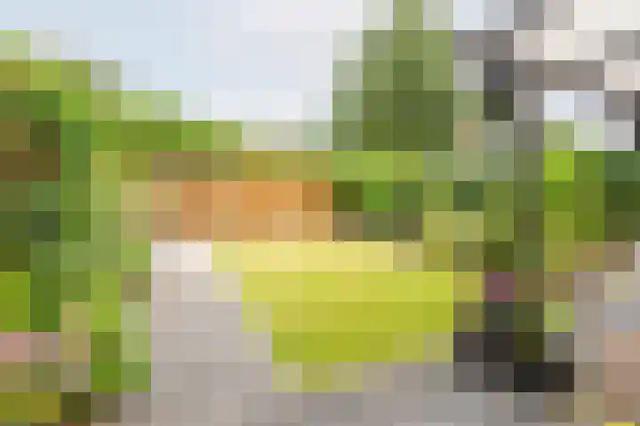 Snippenhof 28 Silvolde thumbnail 31
