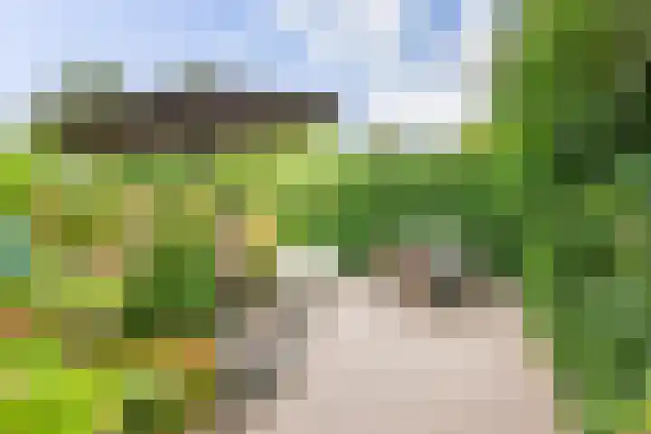 Snippenhof 28 Silvolde thumbnail 32