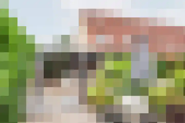 Snippenhof 28 Silvolde thumbnail 34