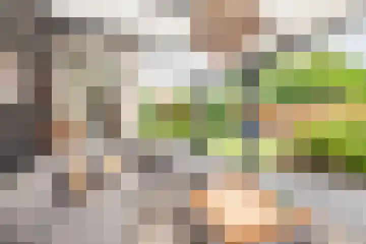 Snippenhof 28 Silvolde thumbnail 36