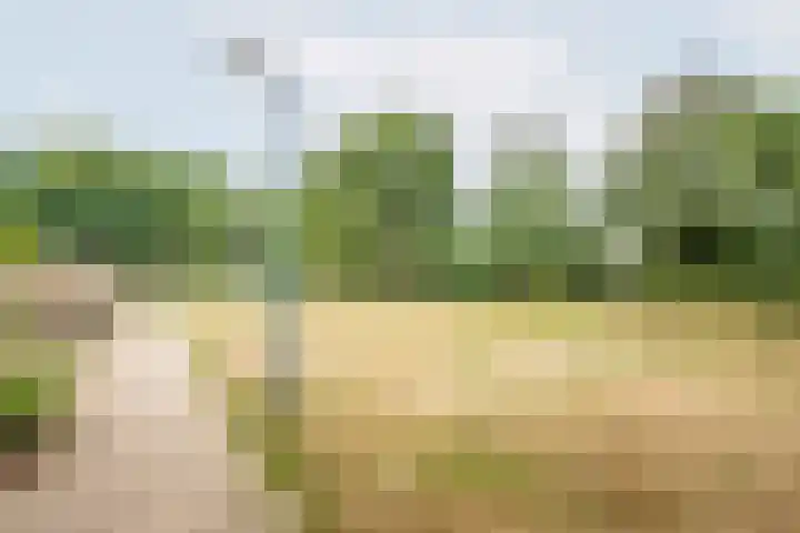 Snippenhof 28 Silvolde thumbnail 40