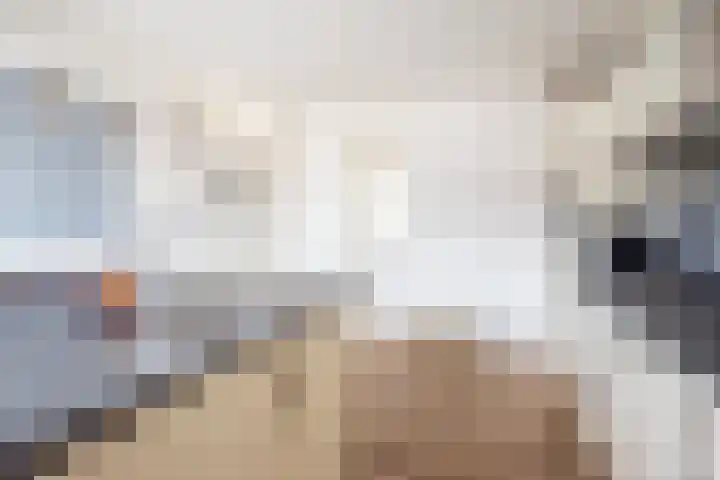 Snippenhof 28 Silvolde thumbnail 9