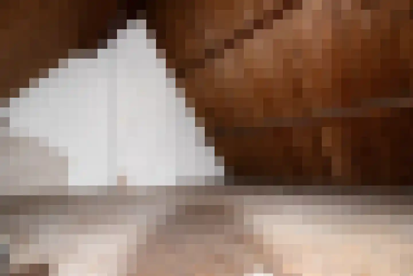 Snippenlaan 8 Bilthoven thumbnail 15