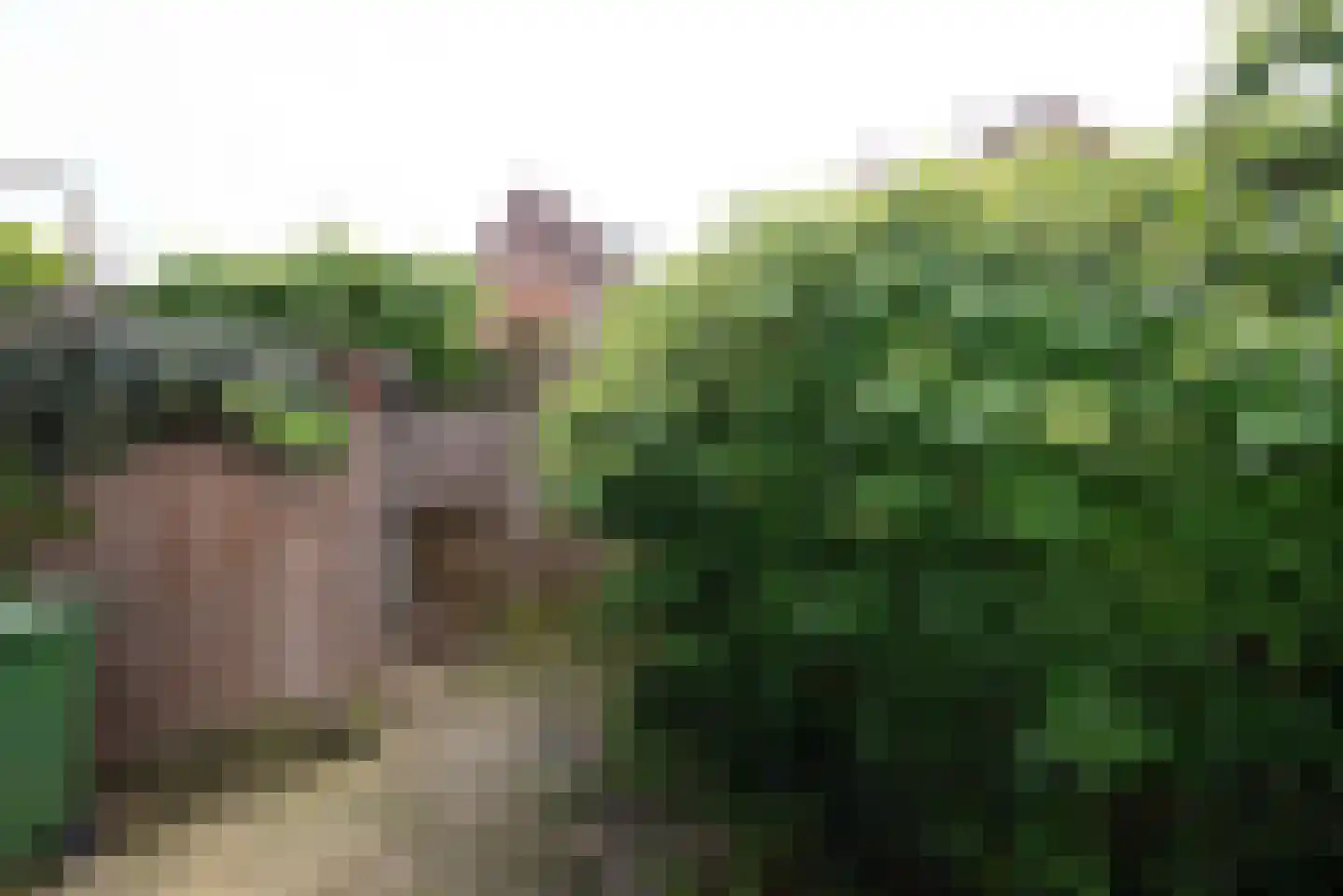 Snippenlaan 8 Bilthoven thumbnail 18