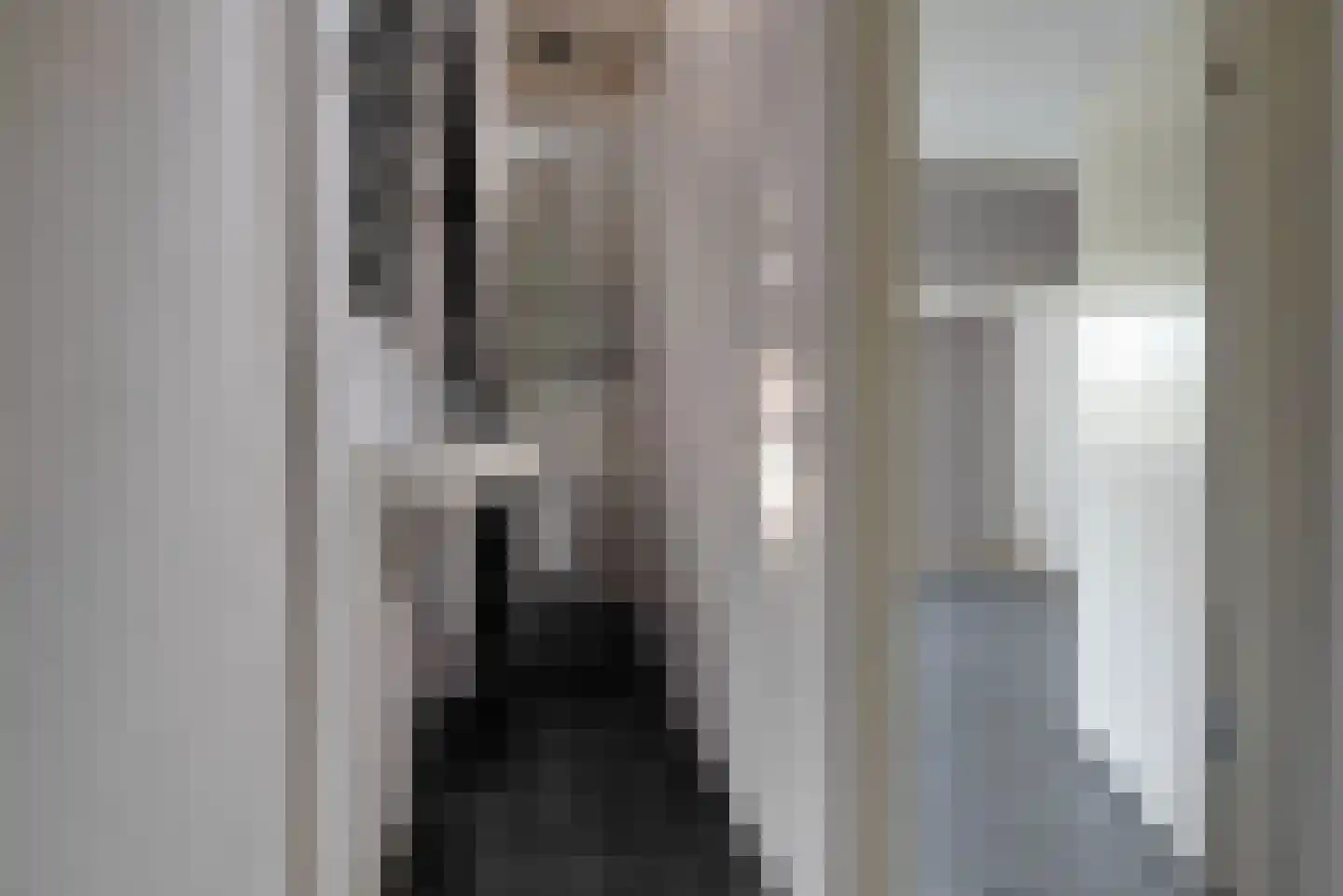 Snippenlaan 8 Bilthoven thumbnail 9