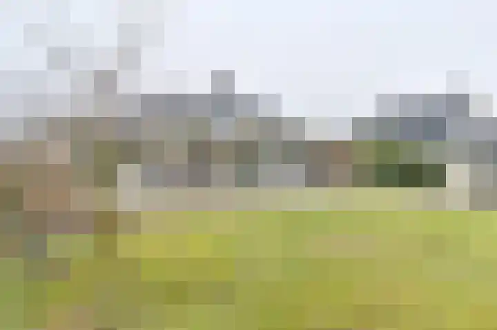 Snippenveld 15 Emmen thumbnail 100