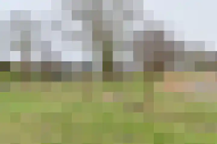 Snippenveld 15 Emmen thumbnail 108