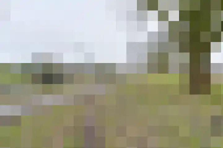 Snippenveld 15 Emmen thumbnail 109