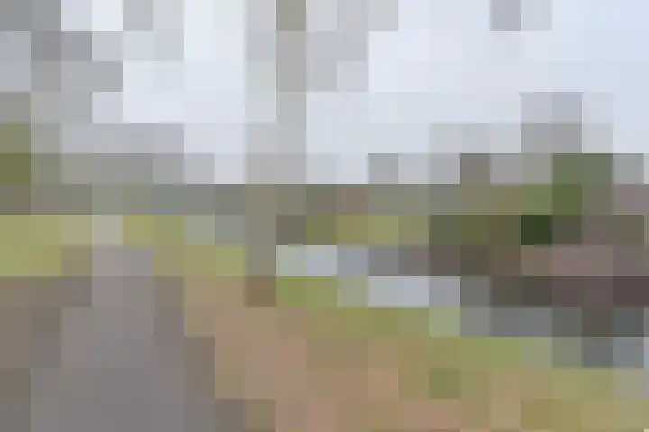 Snippenveld 15 Emmen thumbnail 110