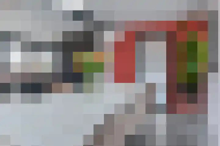Snippenveld 15 Emmen thumbnail 33