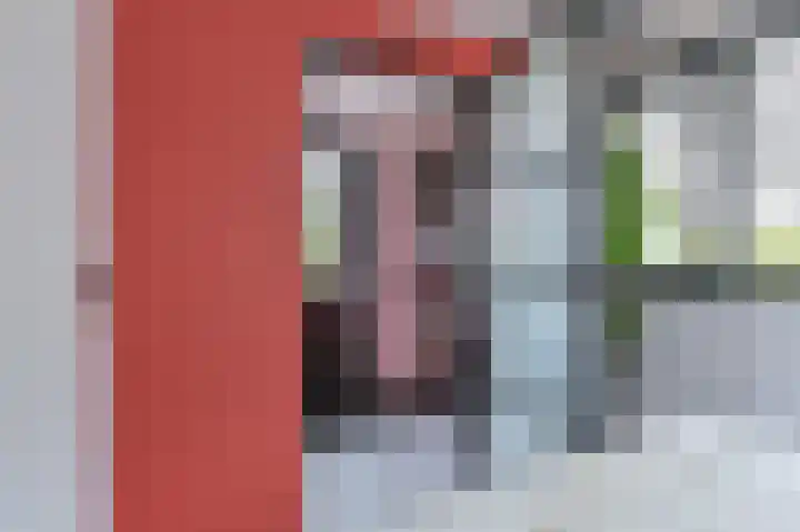 Snippenveld 15 Emmen thumbnail 38