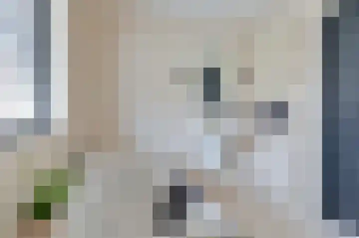 Snippenveld 15 Emmen thumbnail 47