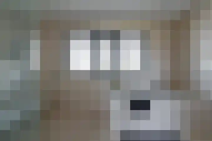 Snippenveld 15 Emmen thumbnail 51