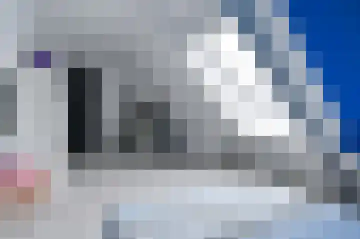 Snippenveld 15 Emmen thumbnail 77