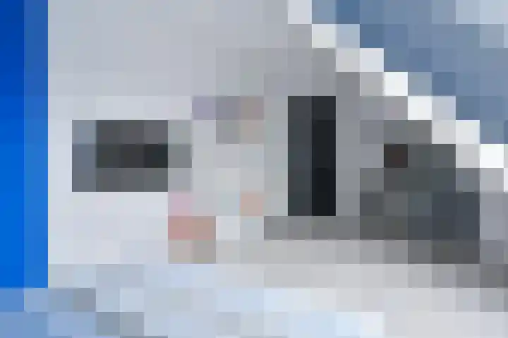 Snippenveld 15 Emmen thumbnail 78