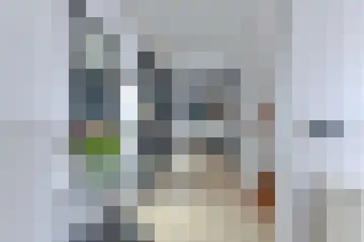 Snippenveld 15 Emmen thumbnail 8