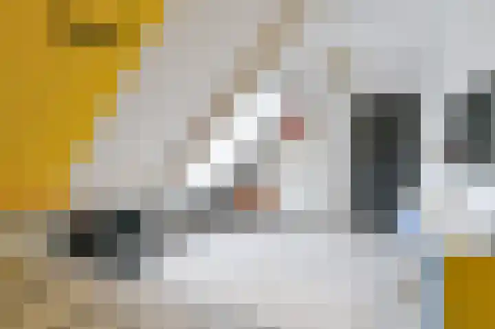 Snippenveld 15 Emmen thumbnail 82
