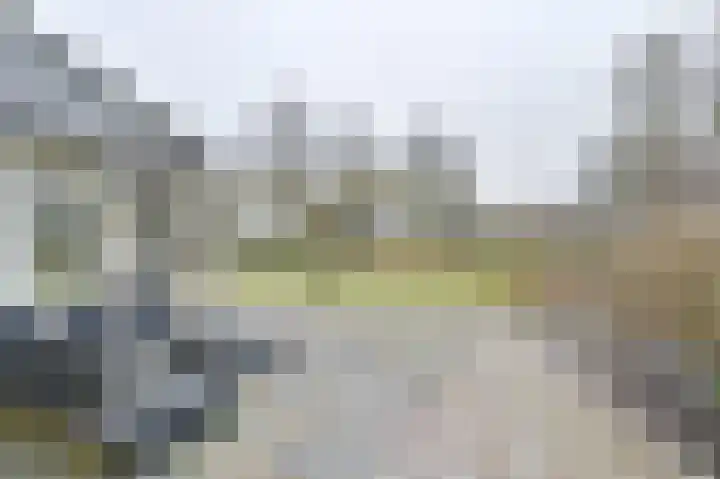 Snippenveld 15 Emmen thumbnail 89