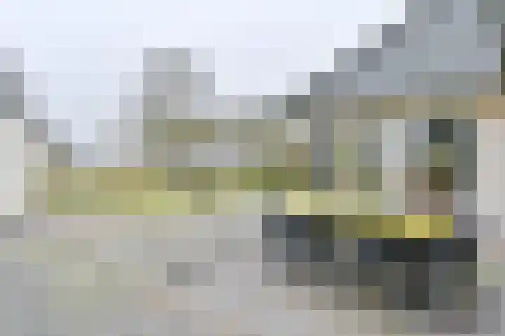 Snippenveld 15 Emmen thumbnail 95