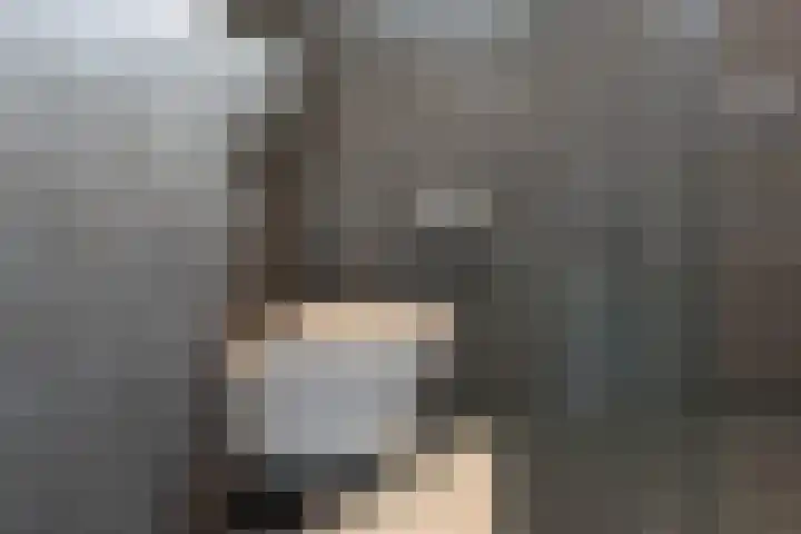Snippenveld 18 Emmen thumbnail 22